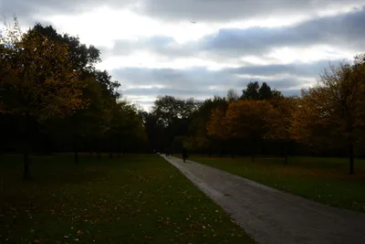 DSC_0467 (Large).JPG